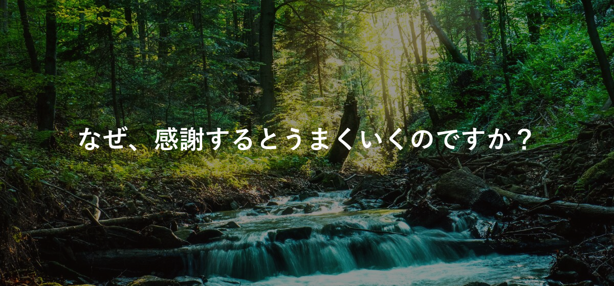 なぜ、感謝するとうまくいくのですか?