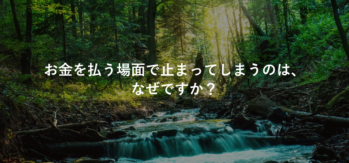 お金を払う場面で止まってしまうのは、なぜですか?