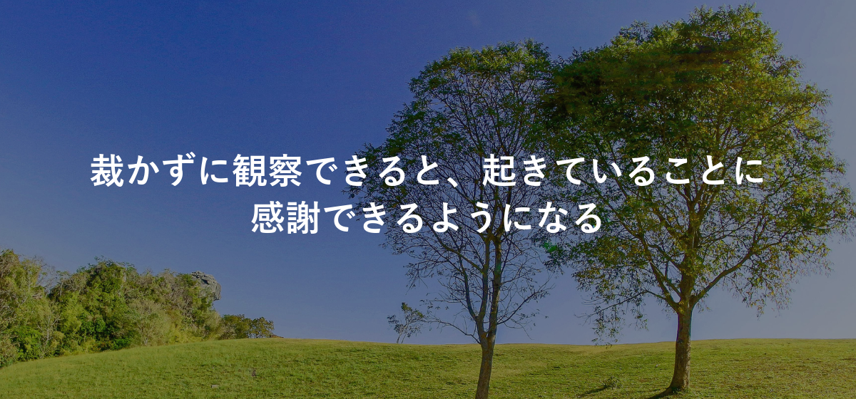 裁かずに観察できると、起きていることに感謝できるようになる